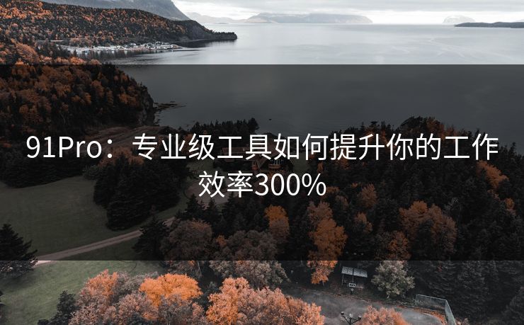 91Pro:专业级工具如何提升你的工作效率300% 91Pro:专业级工具如何提升你的工作效率300%