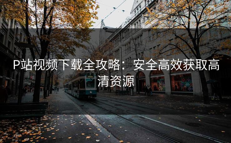 P站视频下载全攻略：安全高效获取高清资源