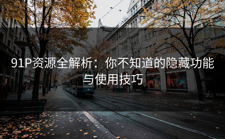 91P资源全解析：你不知道的隐藏功能与使用技巧