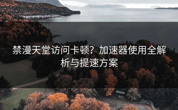 禁漫天堂访问卡顿？加速器使用全解析与提速方案