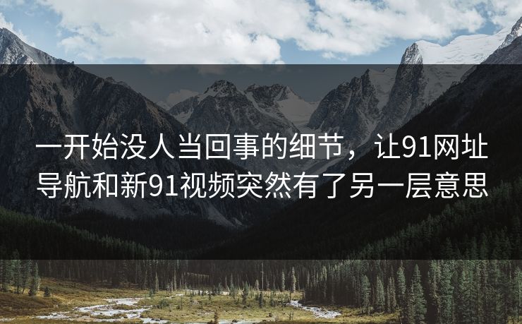 一开始没人当回事的细节，让91网址导航和新91视频突然有了另一层意思